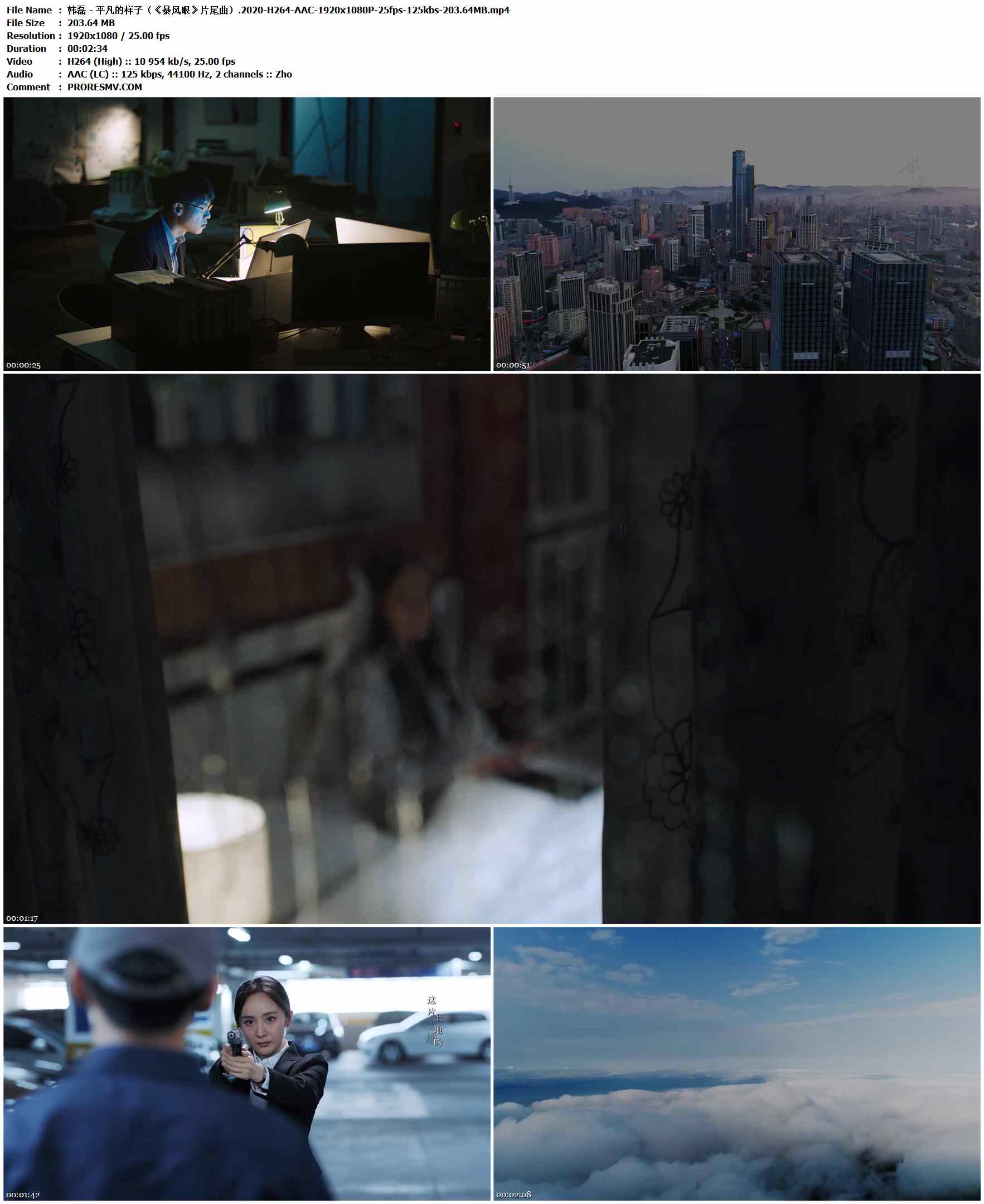 韩磊 - 平凡的样子（《暴风眼》片尾曲）.2020-H264-AAC-1920x1080P-25fps-125kbs-203.64MB官方MV_高清MV
